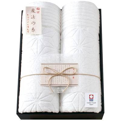 極選 魔法の糸 今治製パイル綿毛布2P　(1100011640)