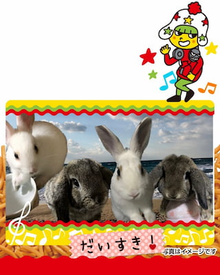 作例