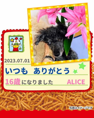 作例