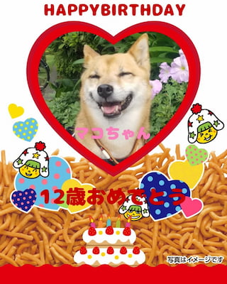 作例