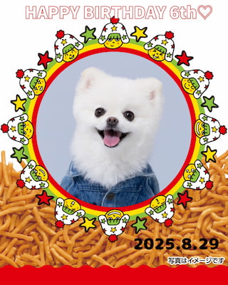 作例