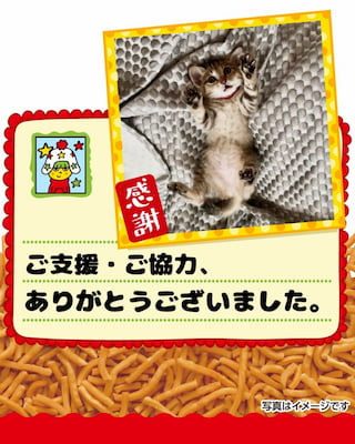 作例