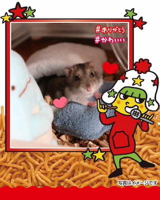作例