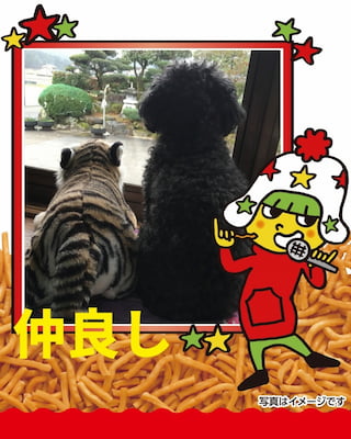 作例