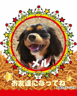 作例