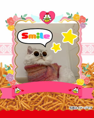 作例