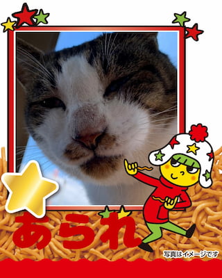 作例