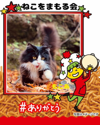 作例