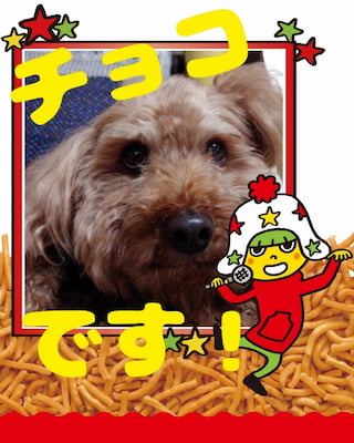 作例