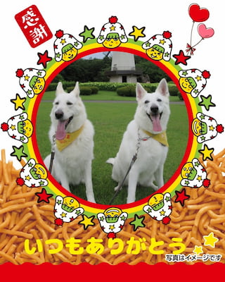 作例