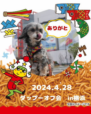 作例