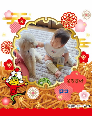 作例