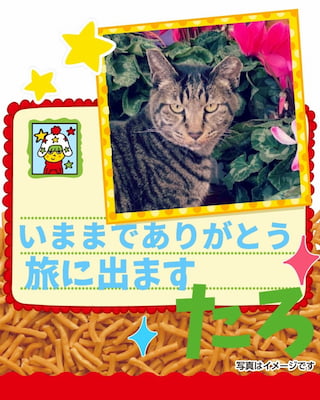 作例
