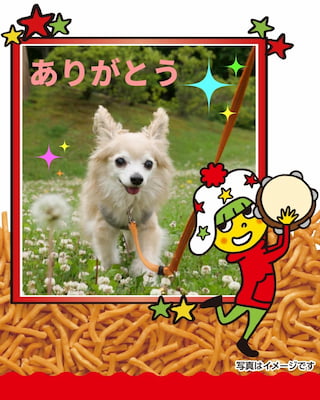 作例