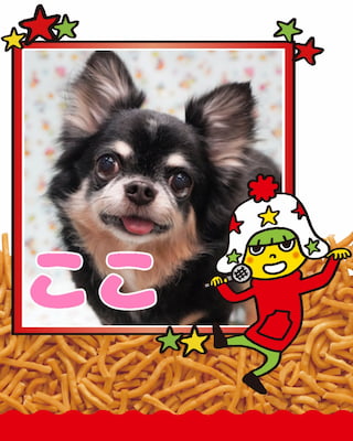 作例