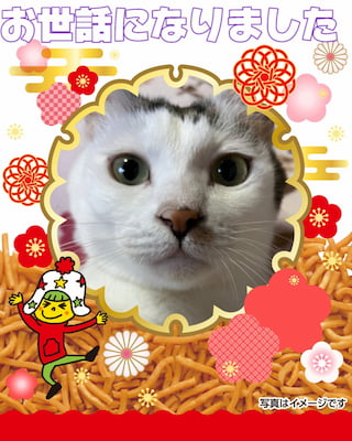 作例
