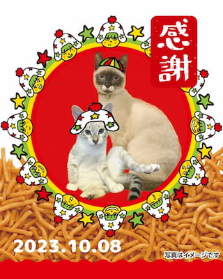 作例