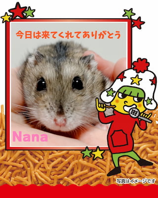 作例