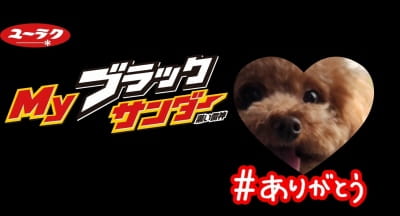 作例