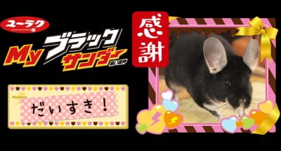 作例