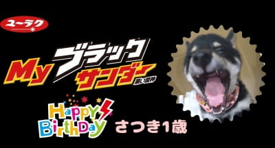 作例