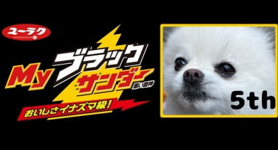 作例