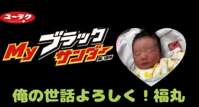 作例