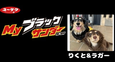 作例