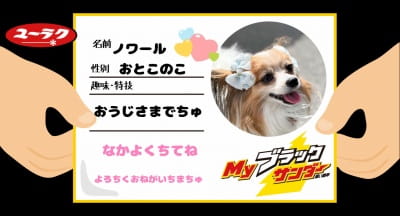 作例