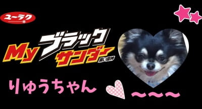 作例