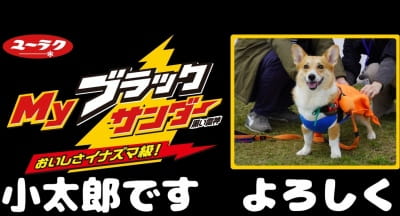 作例