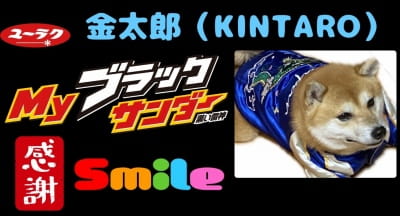 作例