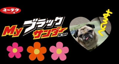 作例