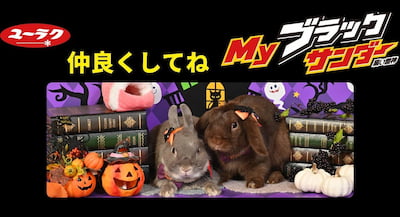 作例
