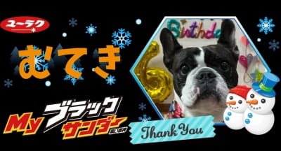 作例