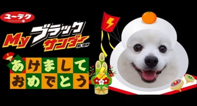 作例