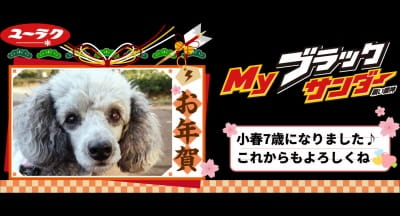 作例