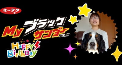 作例