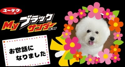 作例
