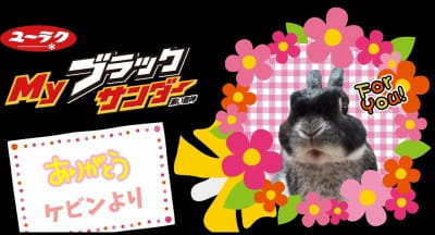作例