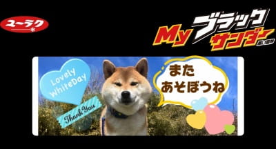 作例