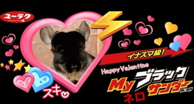 作例