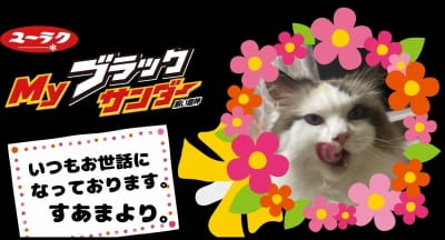 作例