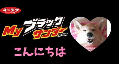 作例