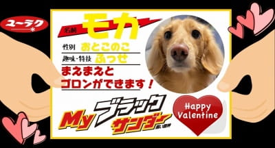 作例