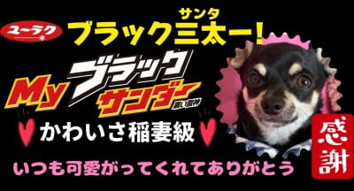 作例