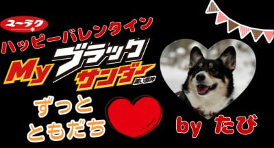 作例
