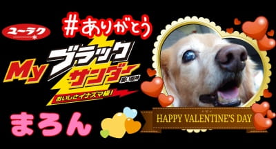作例