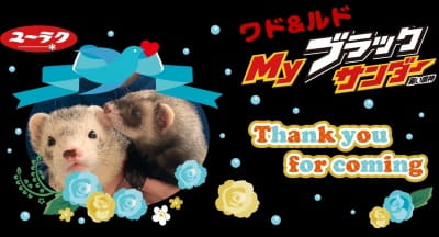 作例