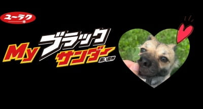 作例